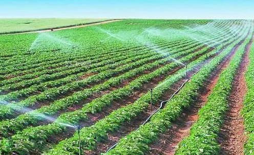 草比免费无码视频农田高 效节水灌溉